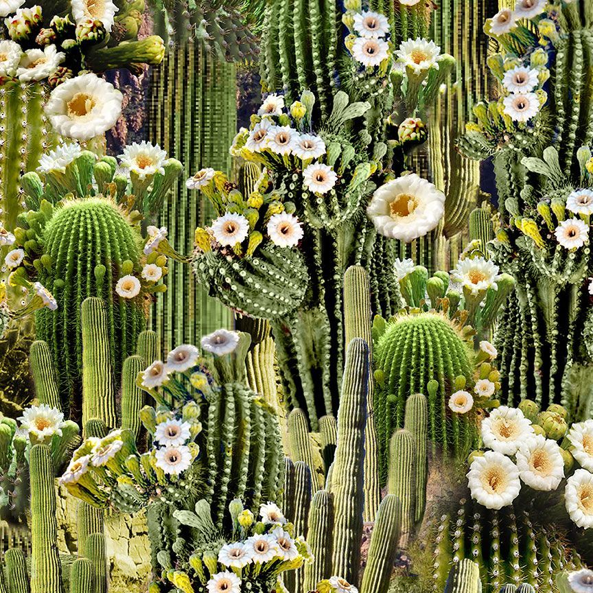 Southwest Sunset Flowering Saguaro Cactus