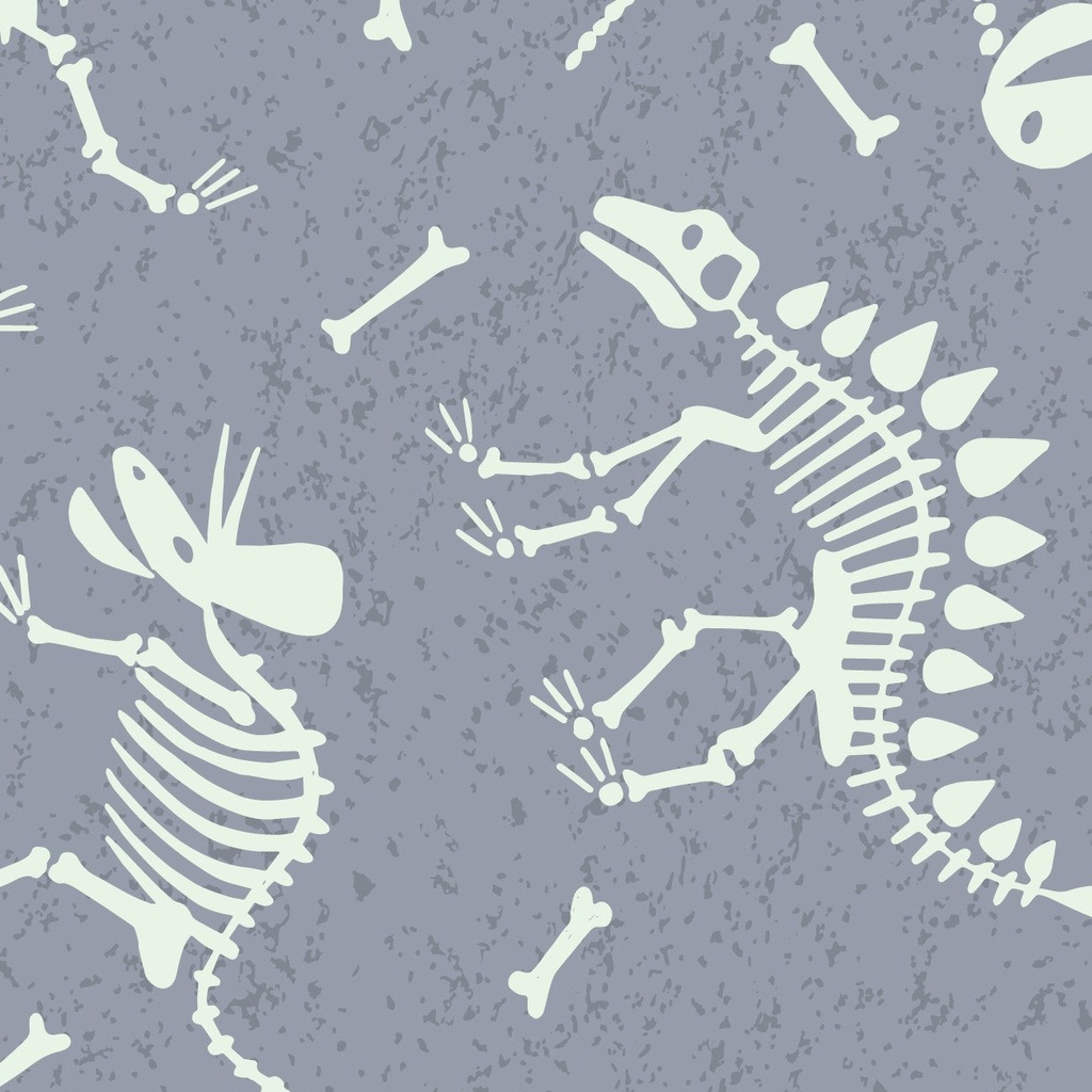 Dino Glow Dino Skeletons Dark Slate