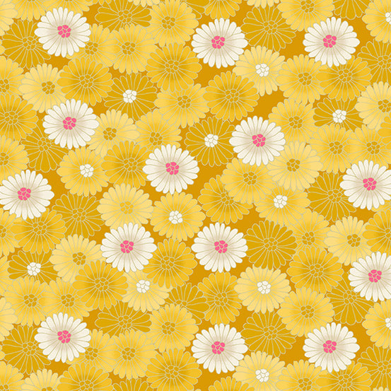 Hikari Chrysanthemum Yellow