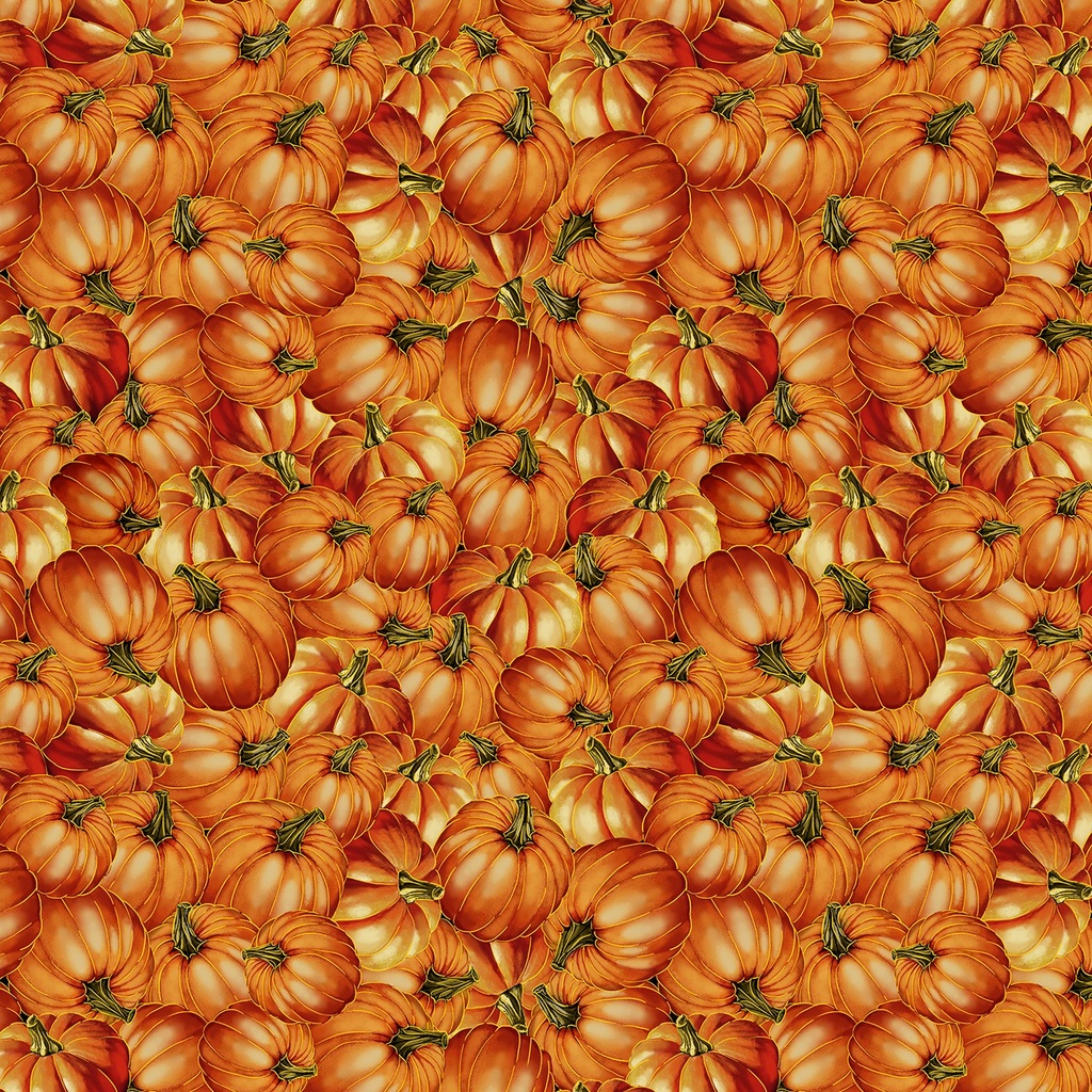 Orange Packed Metallic Harvest Pumpkins