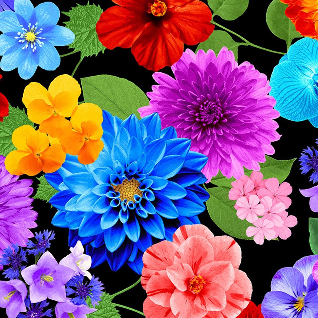 Black Variety Of Vibrant Florals