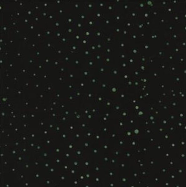 Black w/ Green Dots Batik