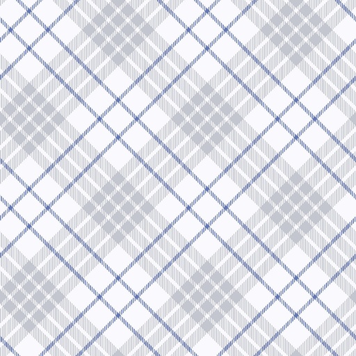 [354-9] Flurry Friends Bias Plaid Multi