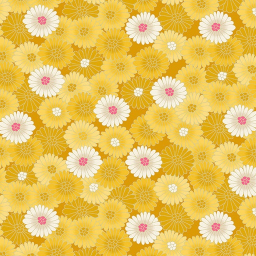 [2521-Y] Hikari Chrysanthemum Yellow