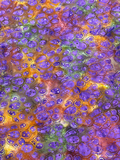 [CACTUS-003] Orange/Purple Colors -  Cactus Themed - Majestic Batiks