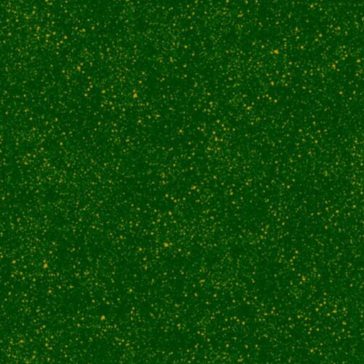 [1649 28333 F] SALE - Elegant Poinsettias Green