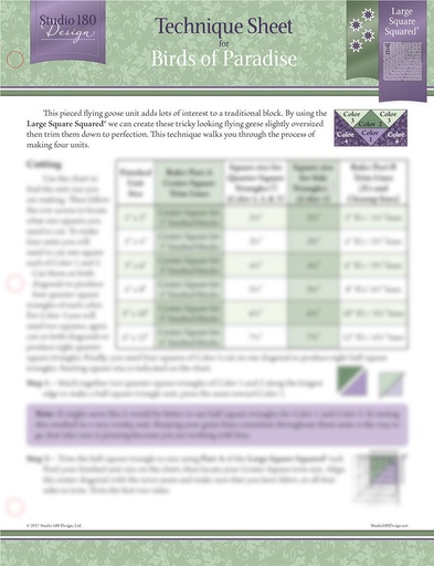 [DTEC17] Birds of Paradise Technique Sheet-Studio 180