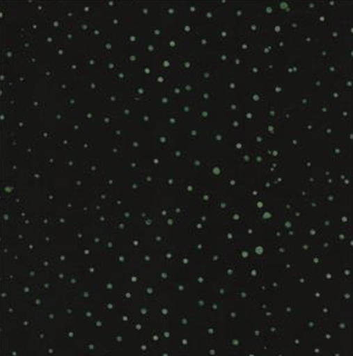 [5611] Black w/ Green Dots Batik