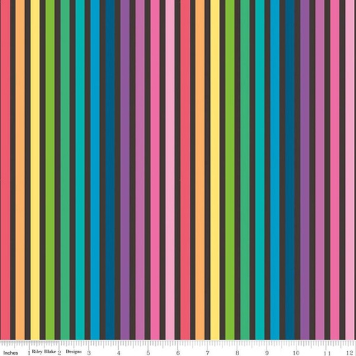 [C13421­BLACK] Make Rainbow Stripe Black