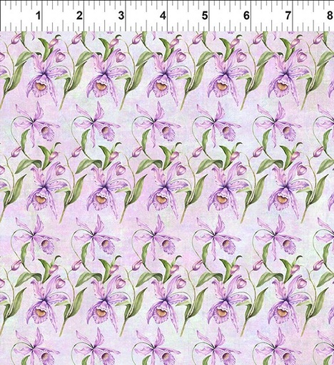 [5BL 1] Botanical Orchids Lavender