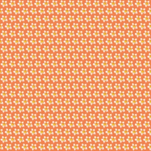 [RBS-FF2810-10] Box Step Orange
