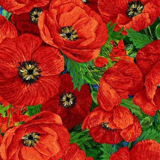 [CD3221  RED] Poppy Dreams Large Poppy Red