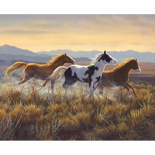 [PD15531-OPEN] Wild Horses Open Country Panel